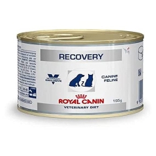 RC RECOVERY LIQUID CAN 195GM