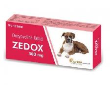 Zedox Tablets (300 mg)