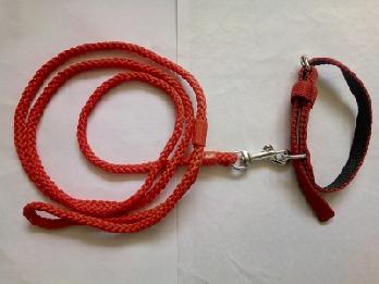 ROPE PUPPY WITH COLLAR
