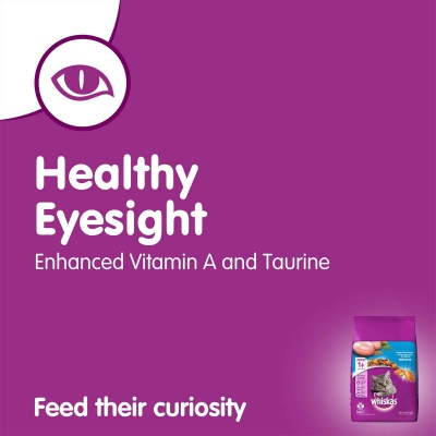 Whiskas Adult (+1 Year) Dry Cat Food Food, Ocean Fish Flavour