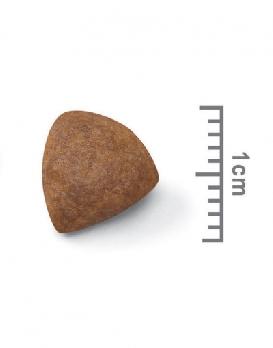 Royal Canin MEDIUM STARTER 4 KG