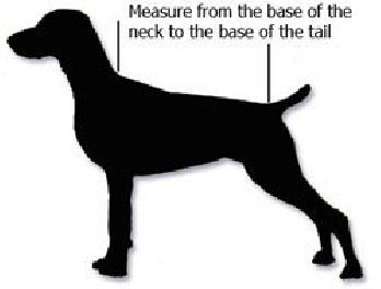 Dog Coat Velvet (Bone) 22 Inch