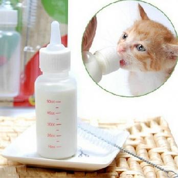 Pets Friend Milk Bottle for Dog Puppy and Kitten (Small)