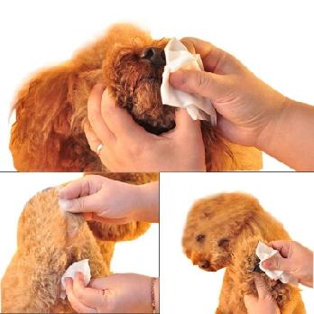 Smarty Pet Wet Wipes For Dogs, Puppies & Pets - Apple - (Pack of 100 Wipes)